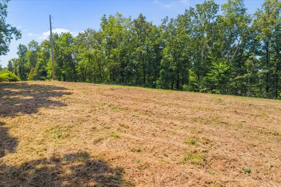 0 Richland Harbor Rd, Waverly, TN 37185 - #3