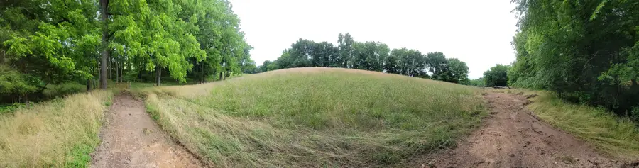 0 Access Rd, Pulaski, TN 38478 - #3
