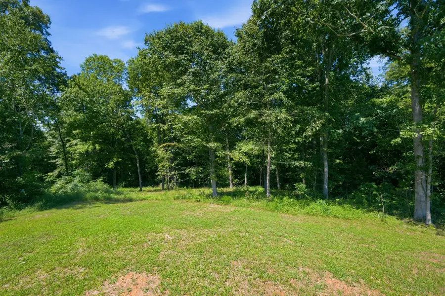 3033 Bowker Road, Charlotte, TN 37036 - #3