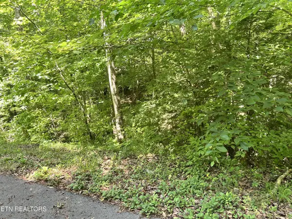 0 Fir Drive, Sevierville, TN 37876