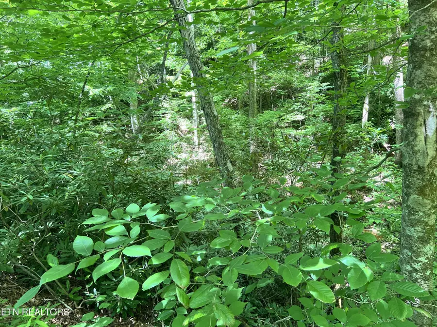 0 Fir Drive, Sevierville, TN 37876 - #3