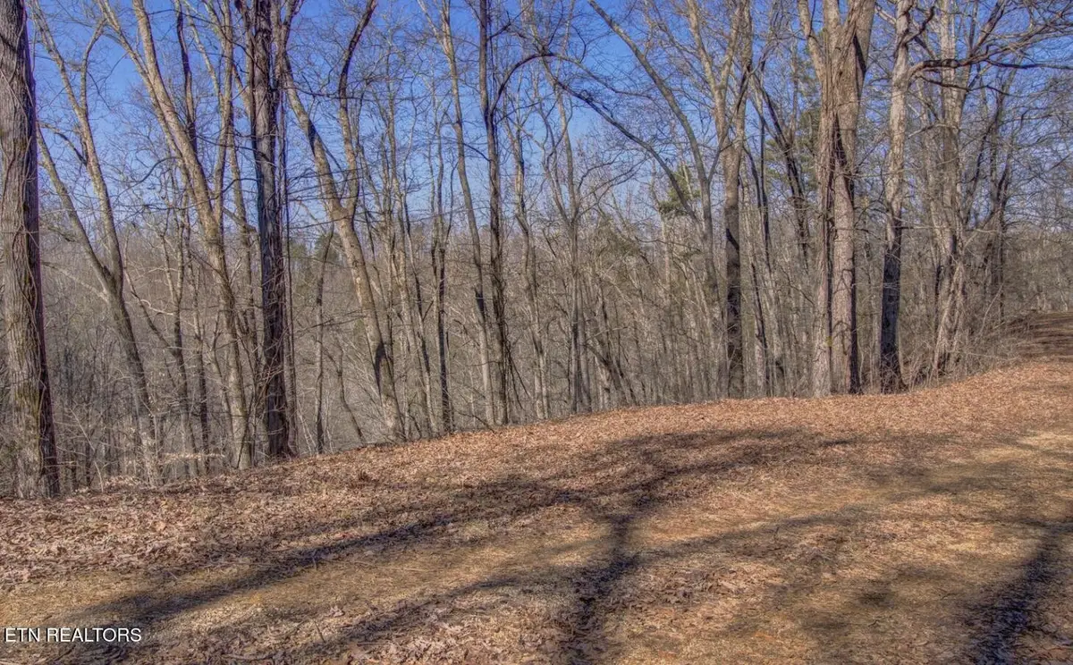 4575 Crooked Creek Lot 3 Way, Maryville, TN 37803 - #1