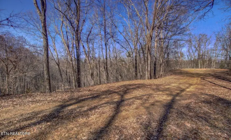 4575 Crooked Creek Lot 3 Way, Maryville, TN 37803 - #3