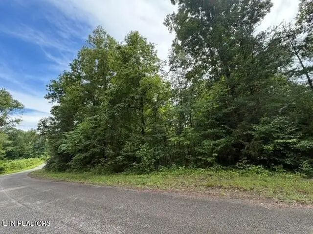 0 Saddleridge Dr. Drive, Speedwell, TN 37870 - #3