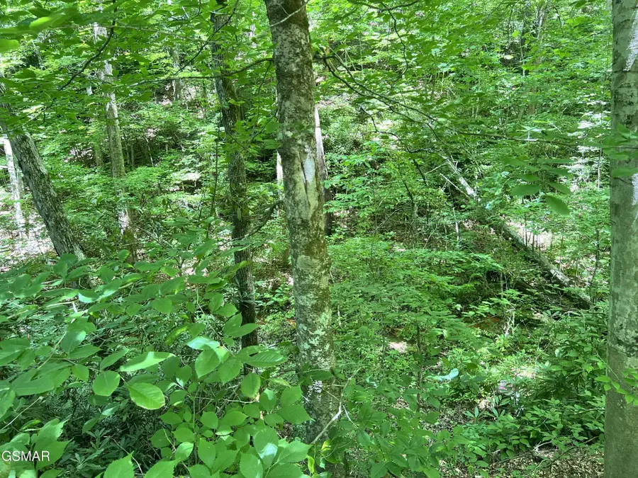 110 Fir Drive, Sevierville, TN 37876 - #2