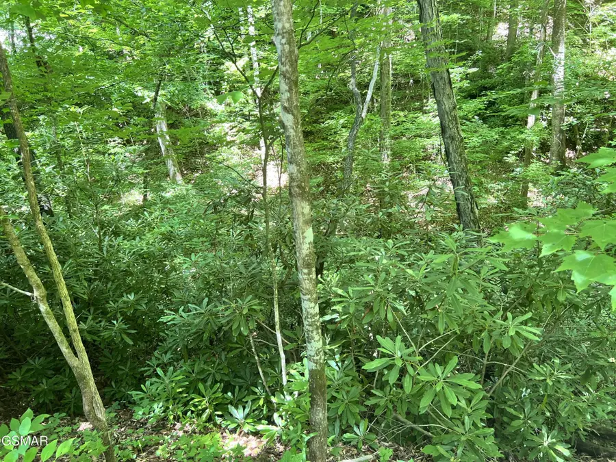 110 Fir Drive, Sevierville, TN 37876 - #3