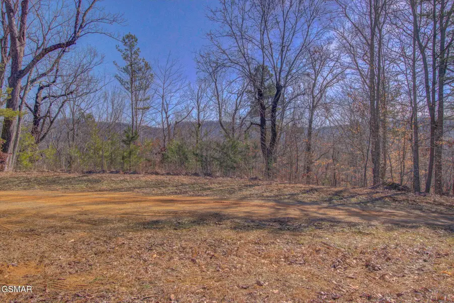4575 Crooked Creek Way, Maryville, TN 37803 - #3