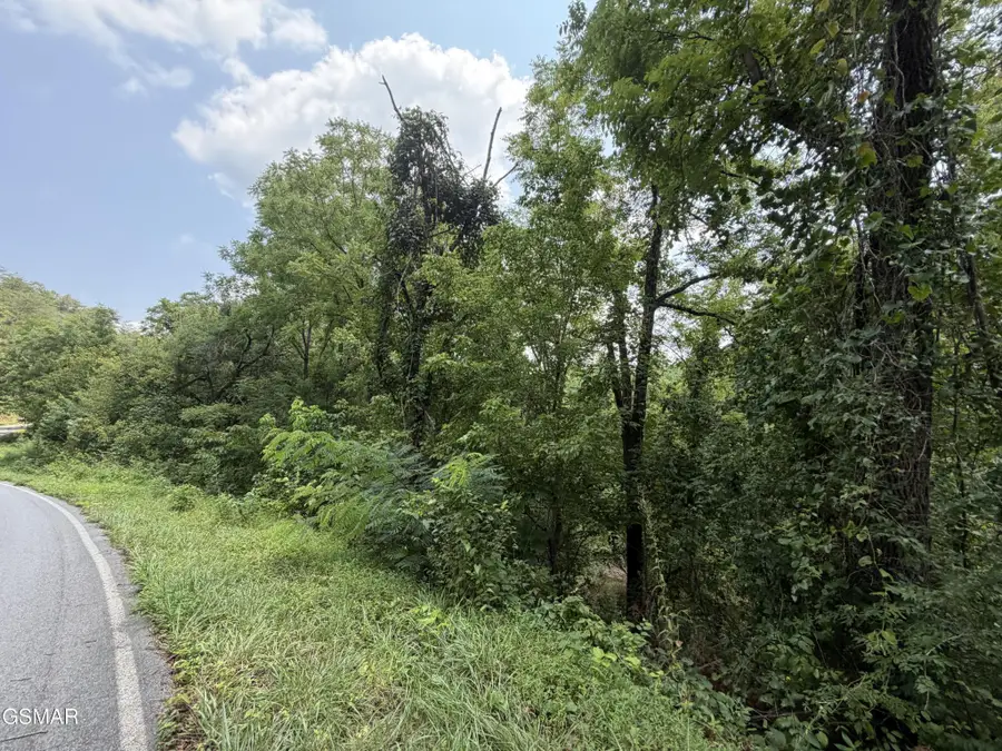 1059 Kellum Creek Road, Sevierville, TN 37876 - #3