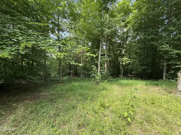 171 Jack Green Road, Whitleyville, TN 38588