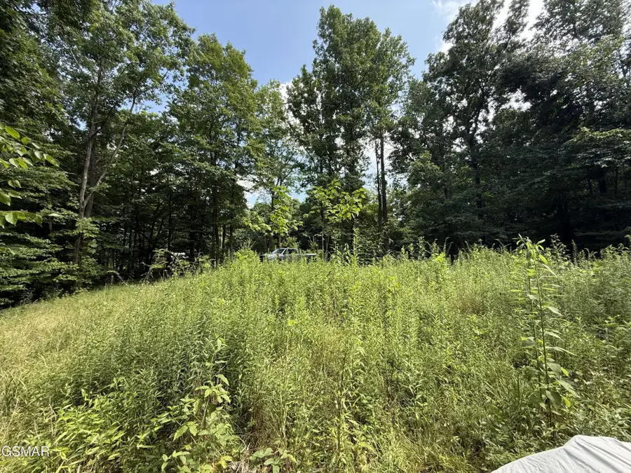 171 Jack Green Road, Whitleyville, TN 38588 - #2