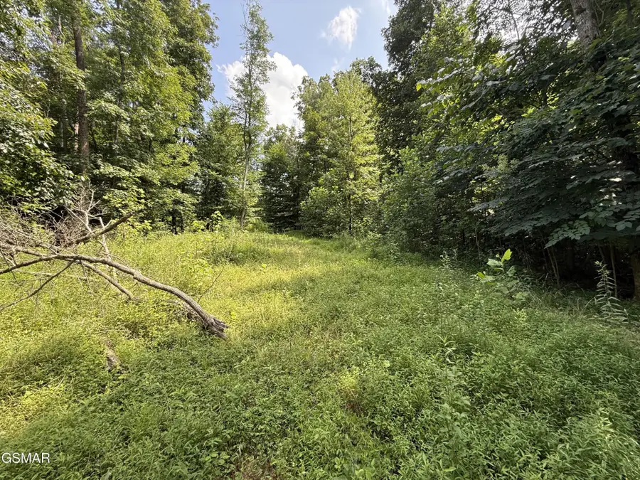 171 Jack Green Road, Whitleyville, TN 38588 - #3