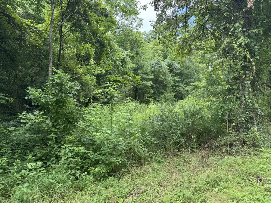 0 Denton Rd, Linden, TN 37096 - #2