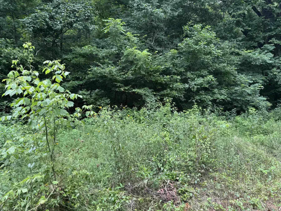 0 Denton Rd, Linden, TN 37096 - #3