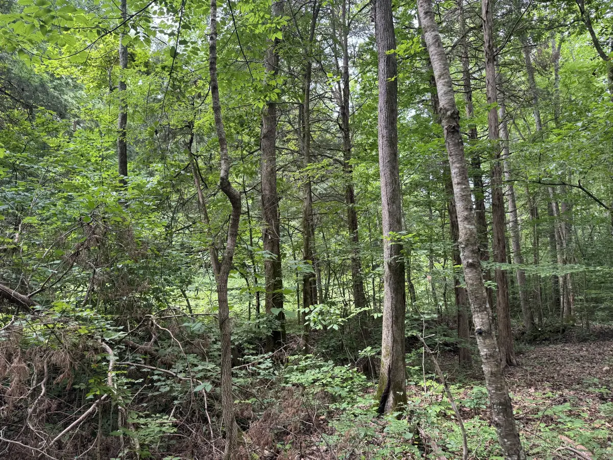 0 Denton Rd, Linden, TN 37096 - #1