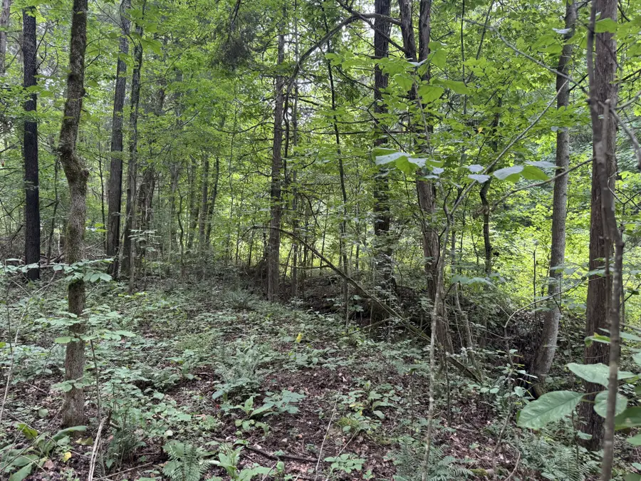 0 Denton Rd, Linden, TN 37096 - #3