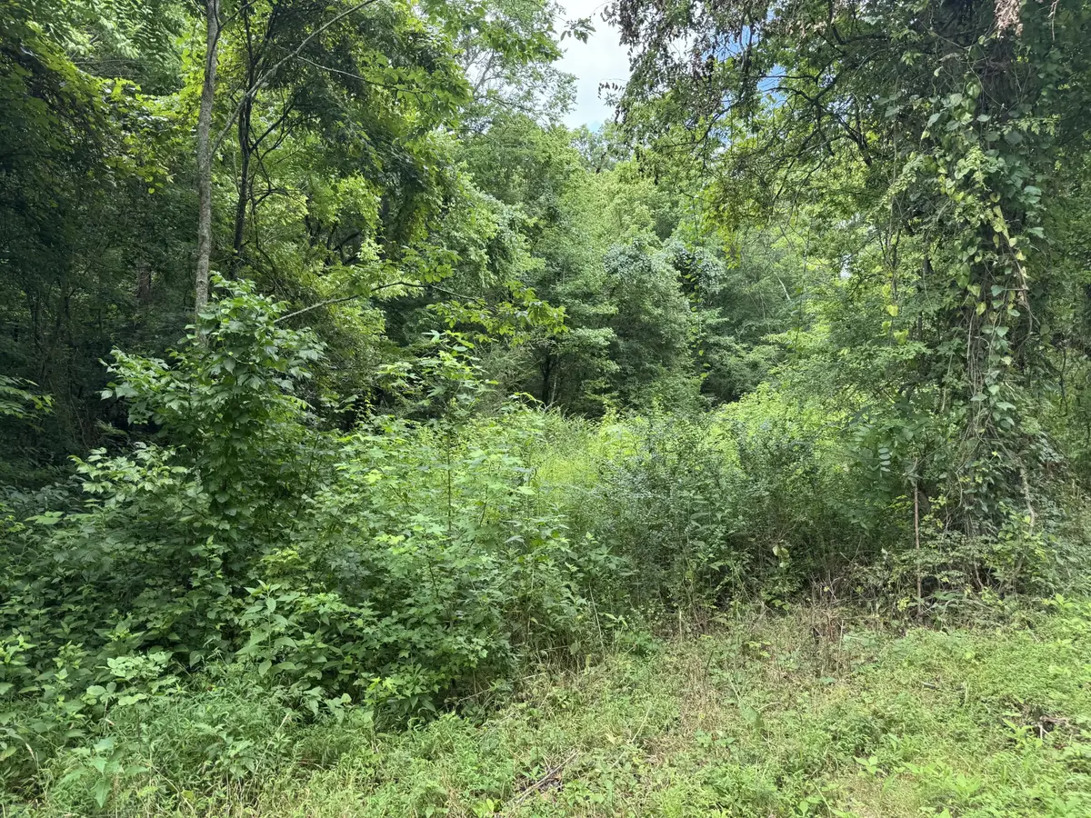 0 Denton Rd, Linden, TN 37096 - #1