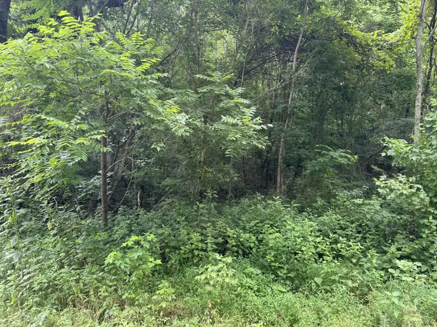 0 Denton Rd, Linden, TN 37096 - #3