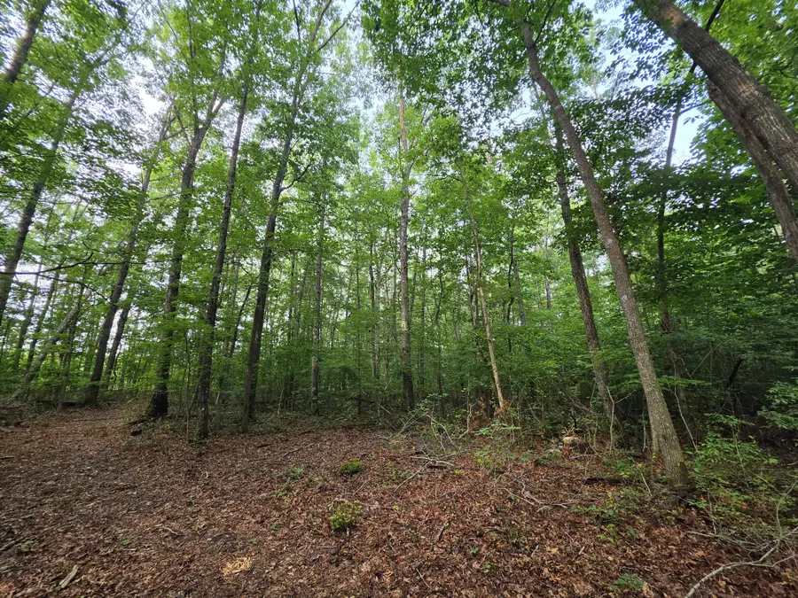 1 Adams Road, Tracy City, TN 37387 - #3