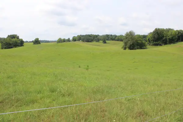 0 Mcgiboney Rd, Rock Island, TN 38581