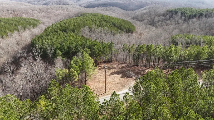 2932 Old Hohenwald Rd, Linden, TN 37096 - #3