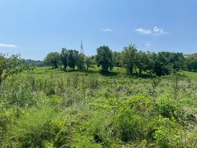 0 Mclaughlin St, Shelbyville, TN 37160 - #2