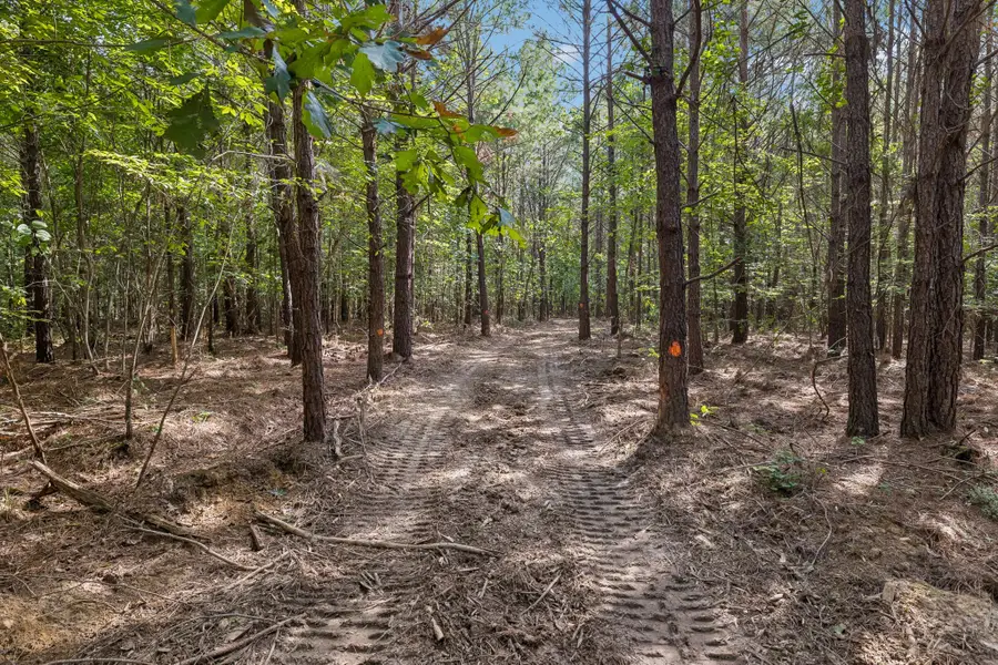 0 Falls Branch Road, Duck River, TN 38454 - #3