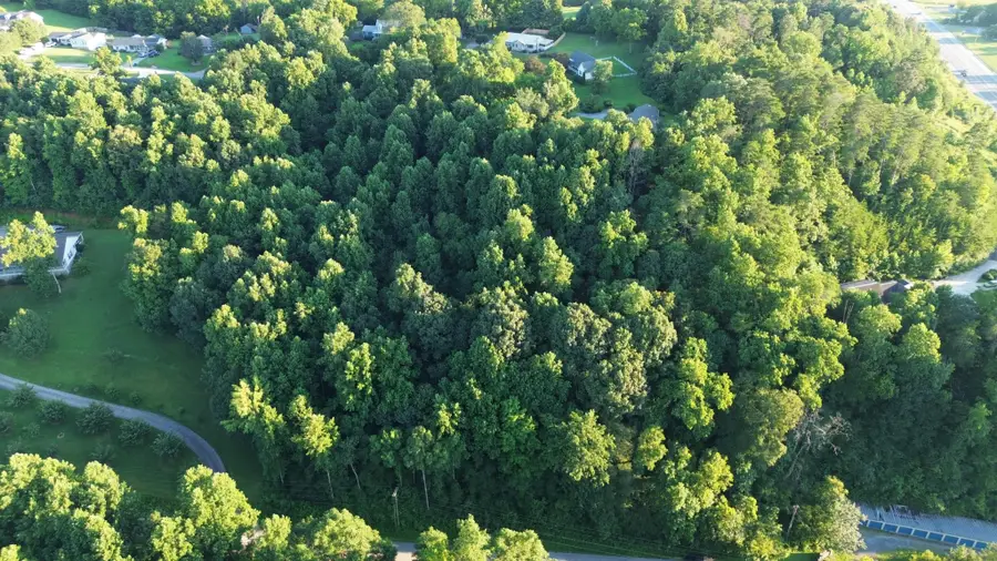 89 Ashley Lane, Dayton, TN 37321 - #2