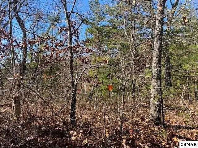 71 Poplar Place, Sevierville, TN 37876 - #1
