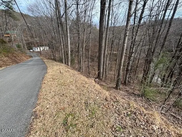 444 Sky View, Sevierville, TN 37876 - #2