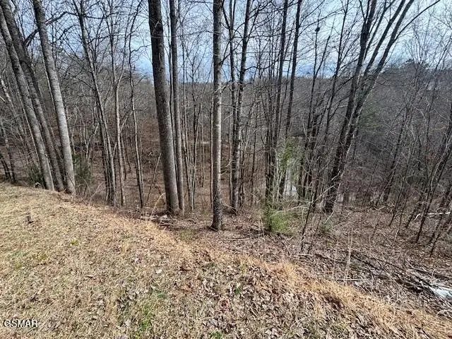 444 Sky View, Sevierville, TN 37876 - #3
