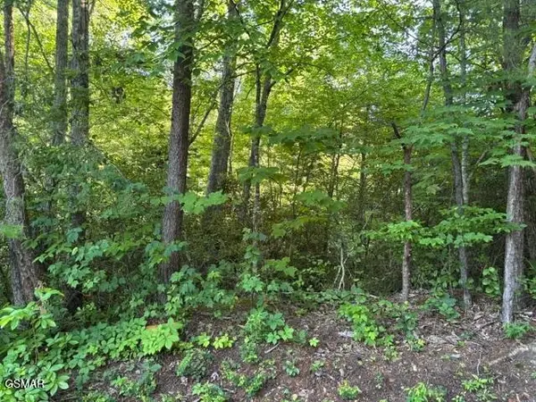1461 Ridgehigh Pass, Sevierville, TN 37876