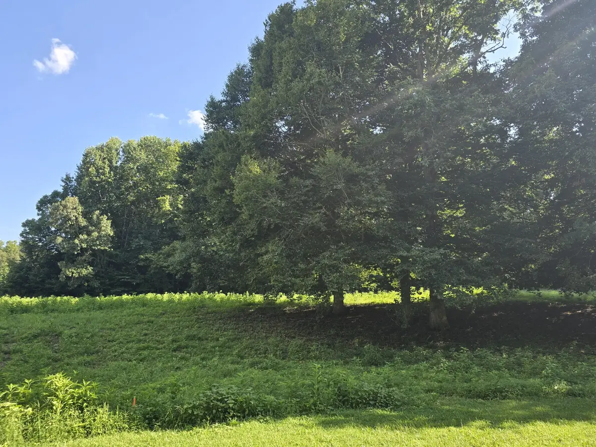 0 Piney Rd, Dickson, TN 37055 - #1