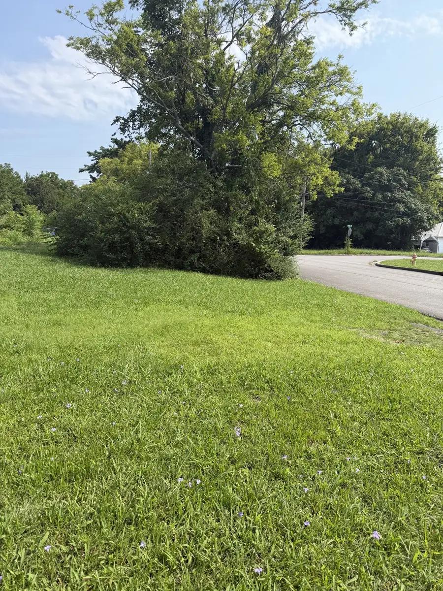 0 Morton St, Shelbyville, TN 37160 - #2