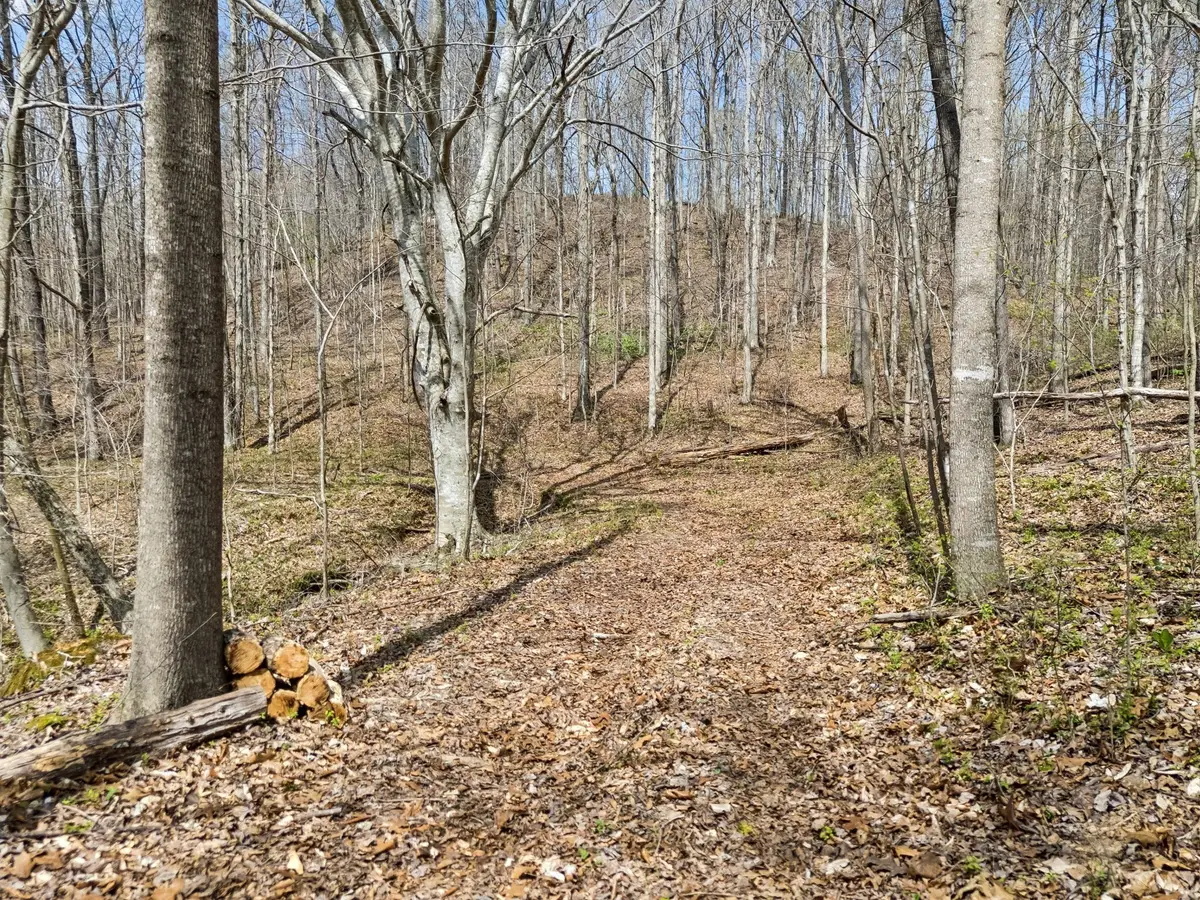 0 Old Highway 31e, Westmoreland, TN 37186 - #1