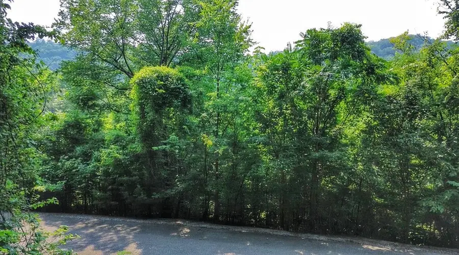 0 Williamson Circle, Smithville, TN 37166 - #3