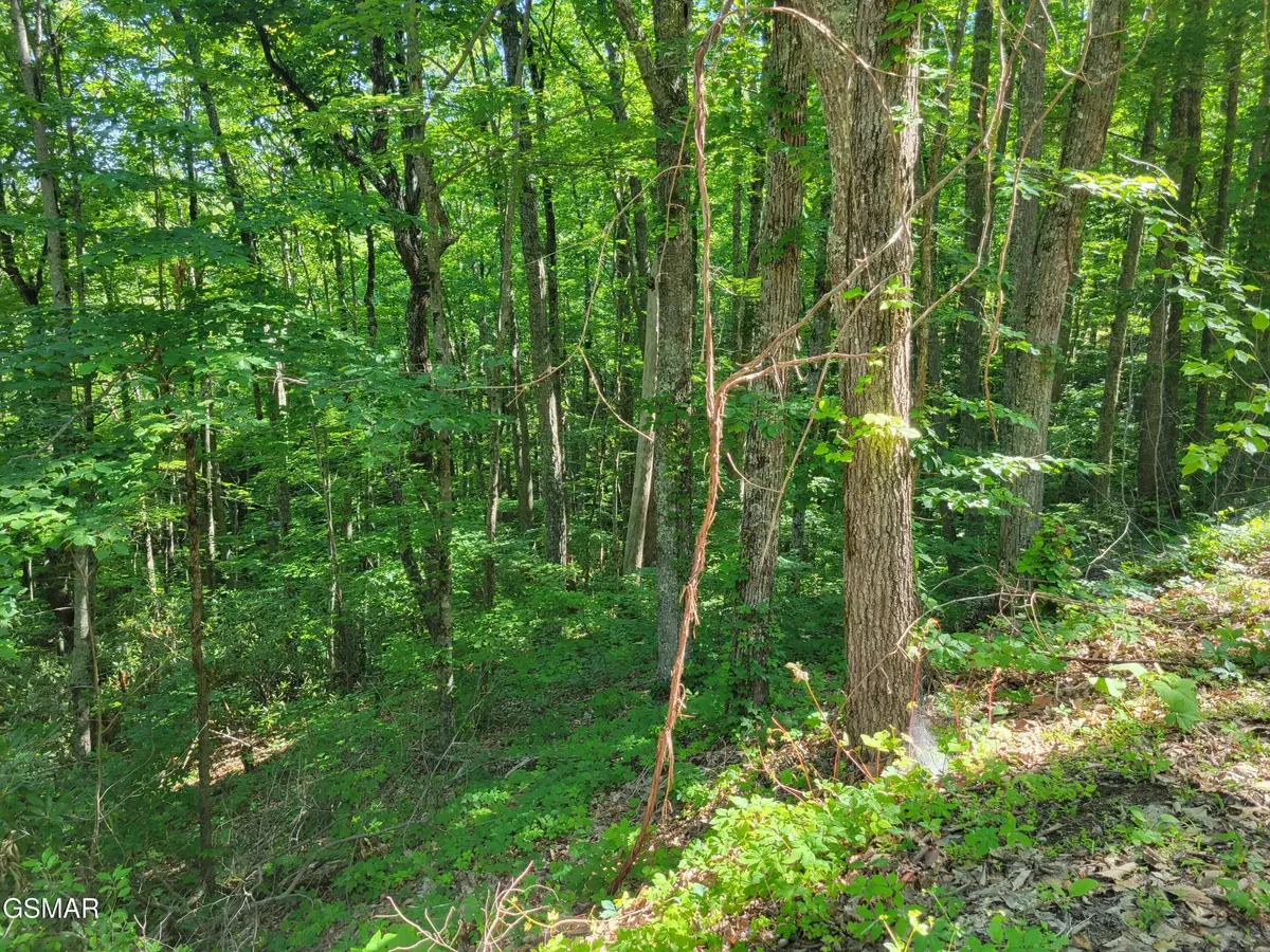 20 Sunset Drive, Sevierville, TN 37876 - #1