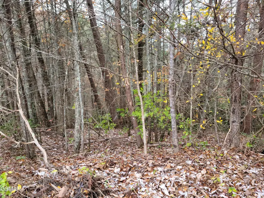 12 Ridgeview Drive, Sevierville, TN 37876 - #3