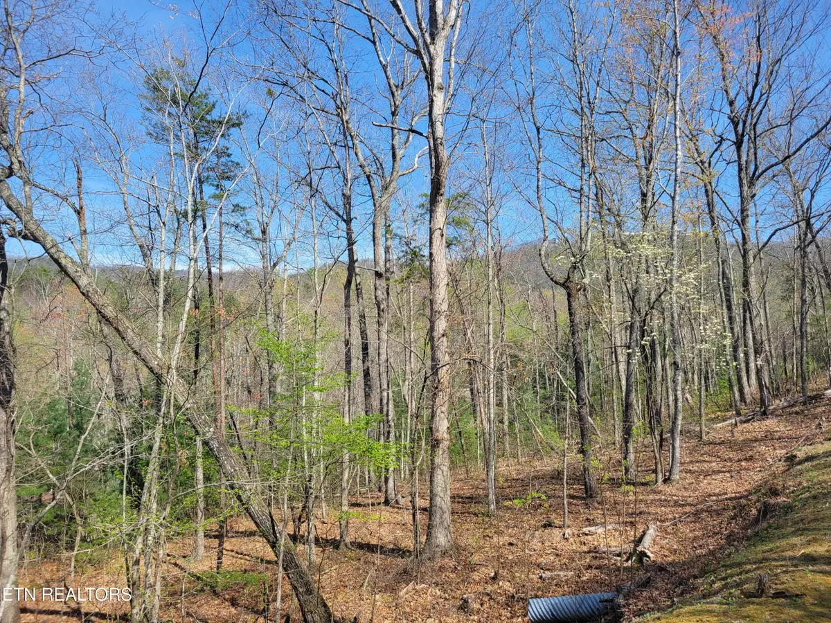10 Black Oak Drive, Sevierville, TN 37876 - #1