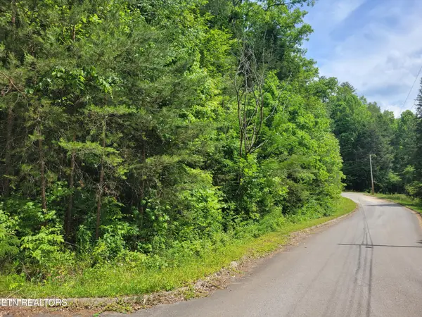 11 Peace Lane, Cosby, TN 37722