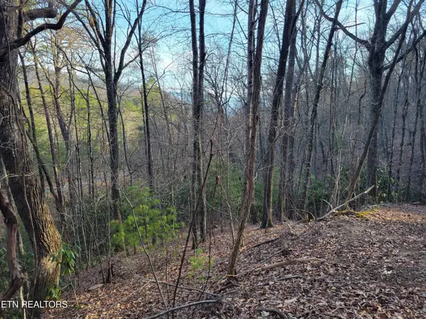 5 Swann Saddle, Sevierville, TN 37876