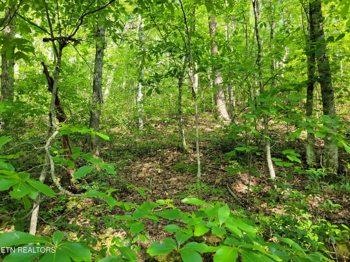 27 Black Oak Drive, Sevierville, TN 37876 - #1
