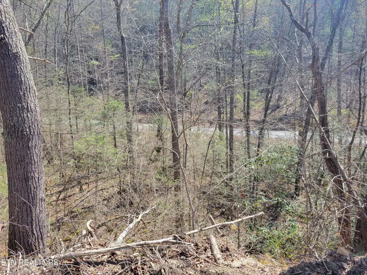 25 Alpine Drive, Sevierville, TN 37876 - #1