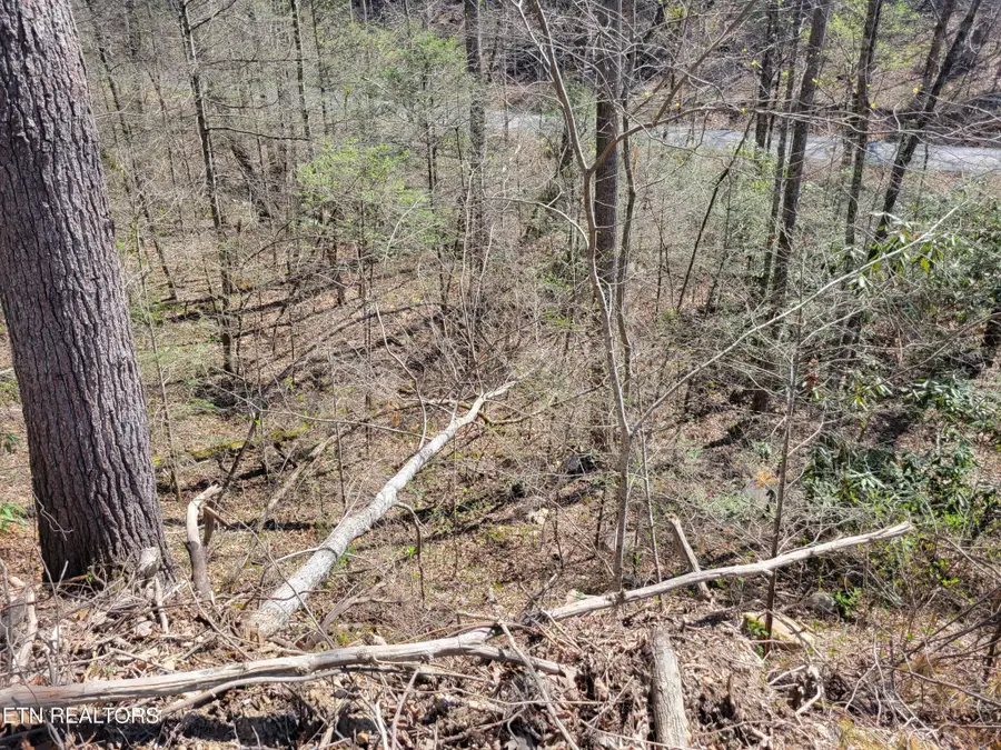 25 Alpine Drive, Sevierville, TN 37876 - #2