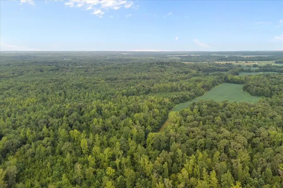 2030 Red Williams Rd, Huntingdon, TN 38344 - #3