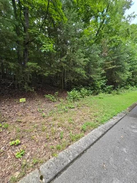 134 Lower Brow Road, Dunlap, TN 37327 - #2