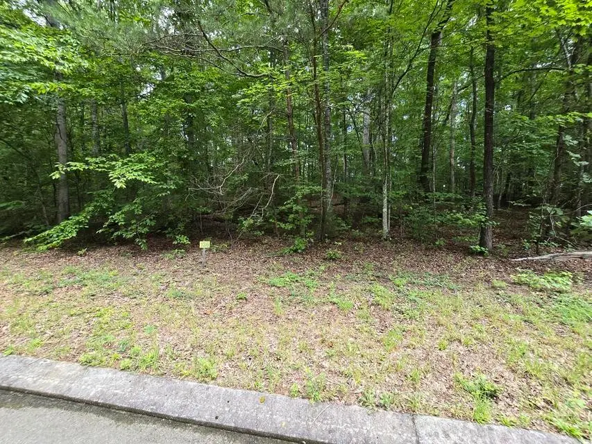 136 Lower Brow Road, Dunlap, TN 37327 - #2