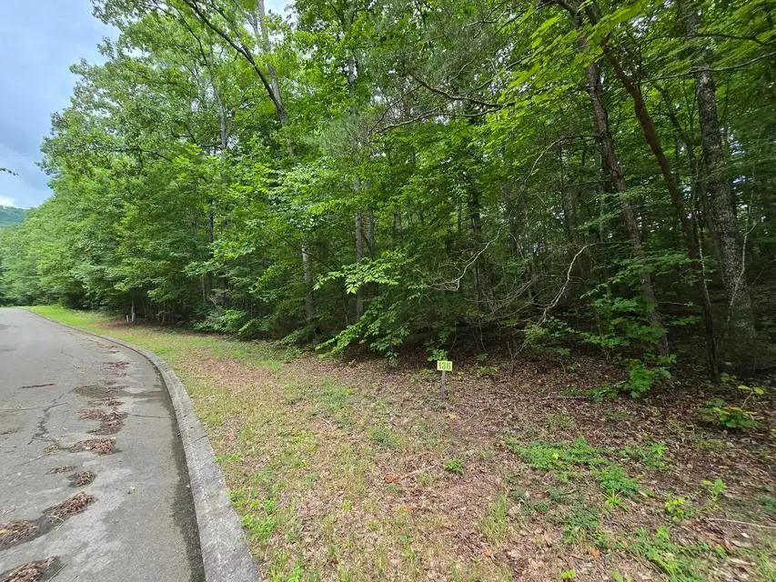 136 Lower Brow Road, Dunlap, TN 37327 - #3