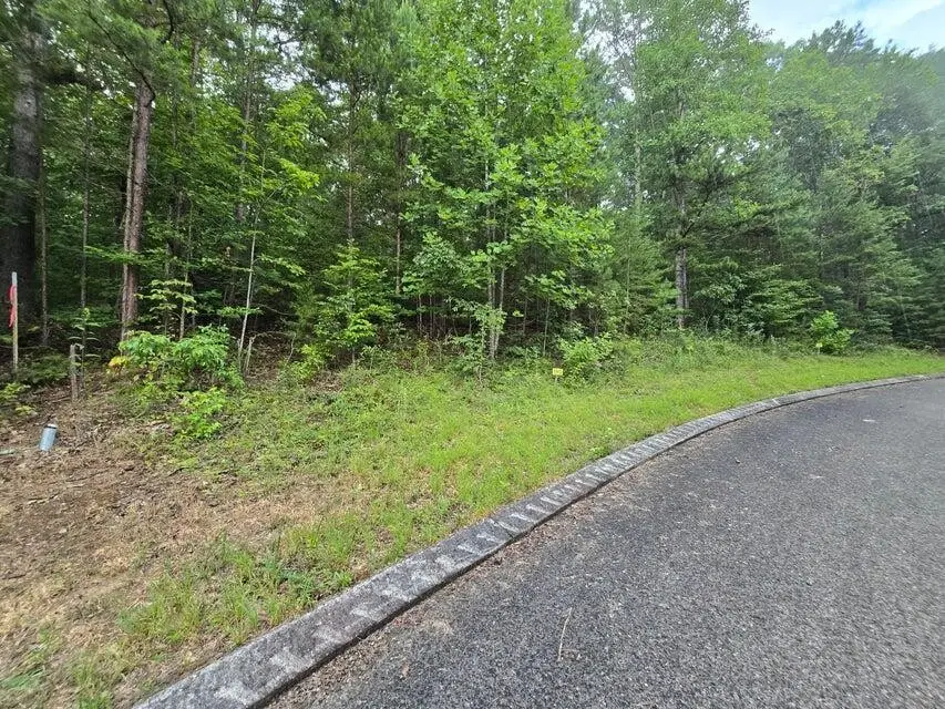 155 Lower Brow Road, Dunlap, TN 37327 - #1