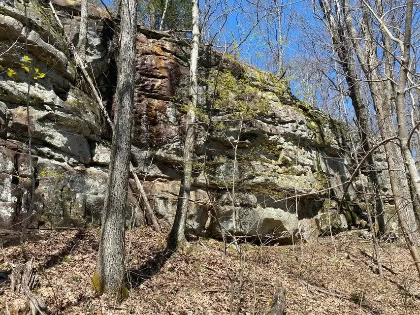 298 Fieldstone Lane, Pikeville, TN 37367 - #3