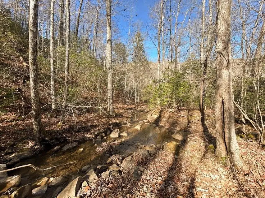 5 Deerhead Road, Dunlap, TN 37327 - #1
